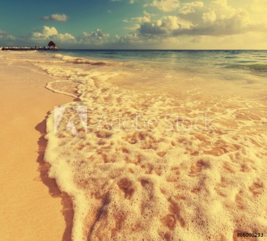 Picture of Tropical beach